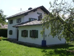 Hundebetreuung mit Herz